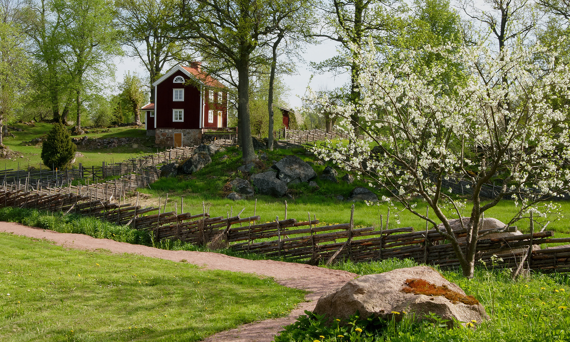 Vårigt landskap med ett rött hus med vita knutar uppe på en höjd.