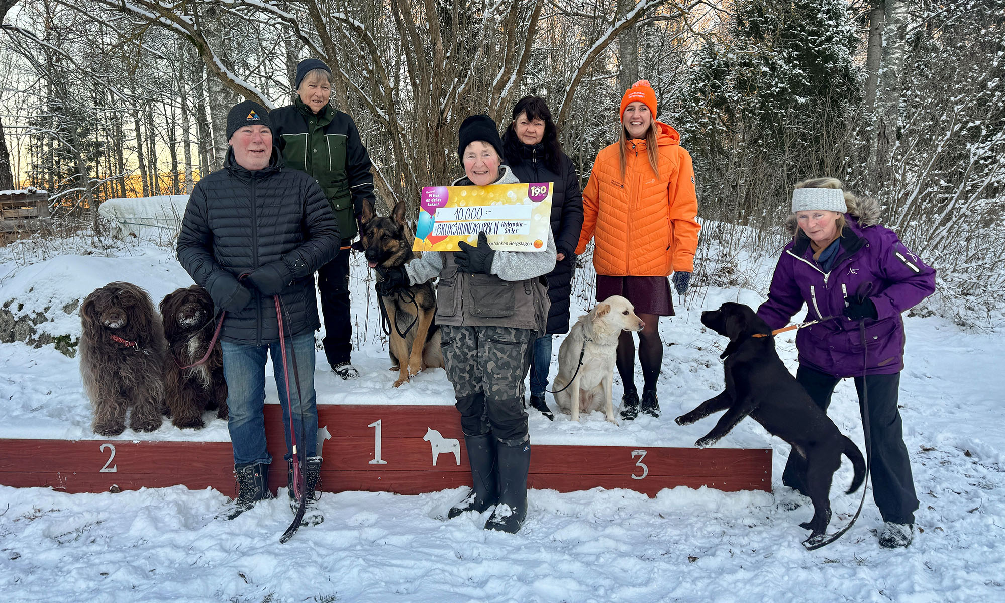 Bild på hundar och personal från Brukshundklubben Hedemora-Säter 