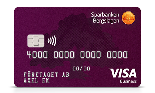 Visa Business Card